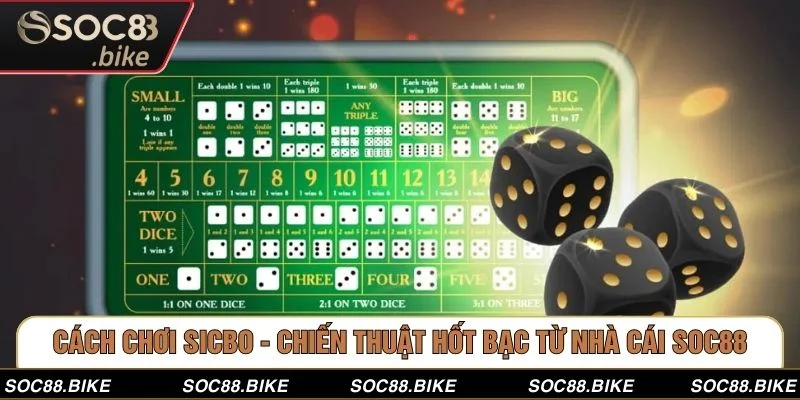 Cách Chơi Sicbo - Chiến Thuật Hốt Bạc Từ Nhà Cái SOC88