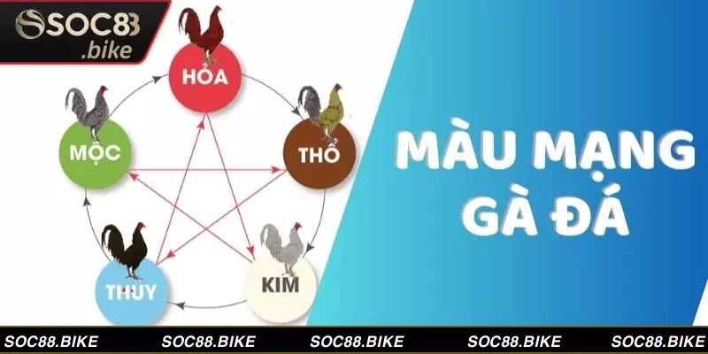 Màu mạng phù hợp tăng tỷ lệ chiến thắng