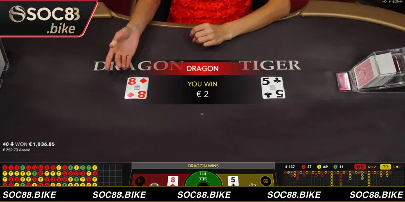Mẹo đặt cược dragon tiger thắng lớn